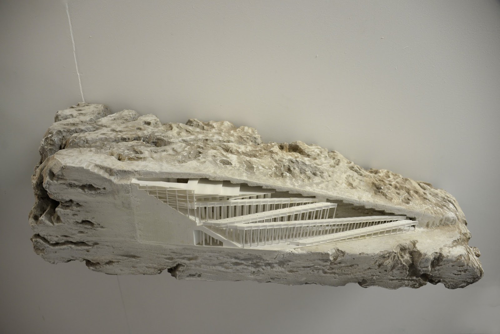 What`s next? A guide to an architectural career.