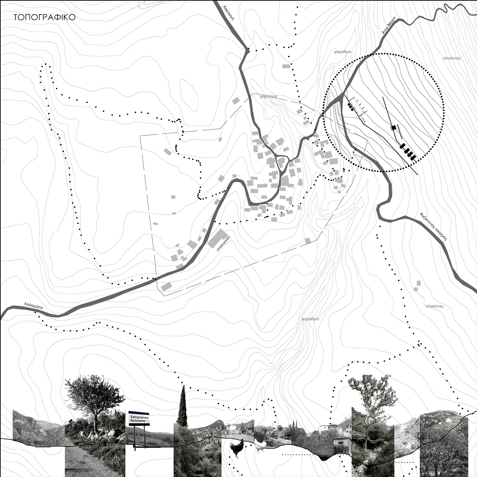 Oliveland