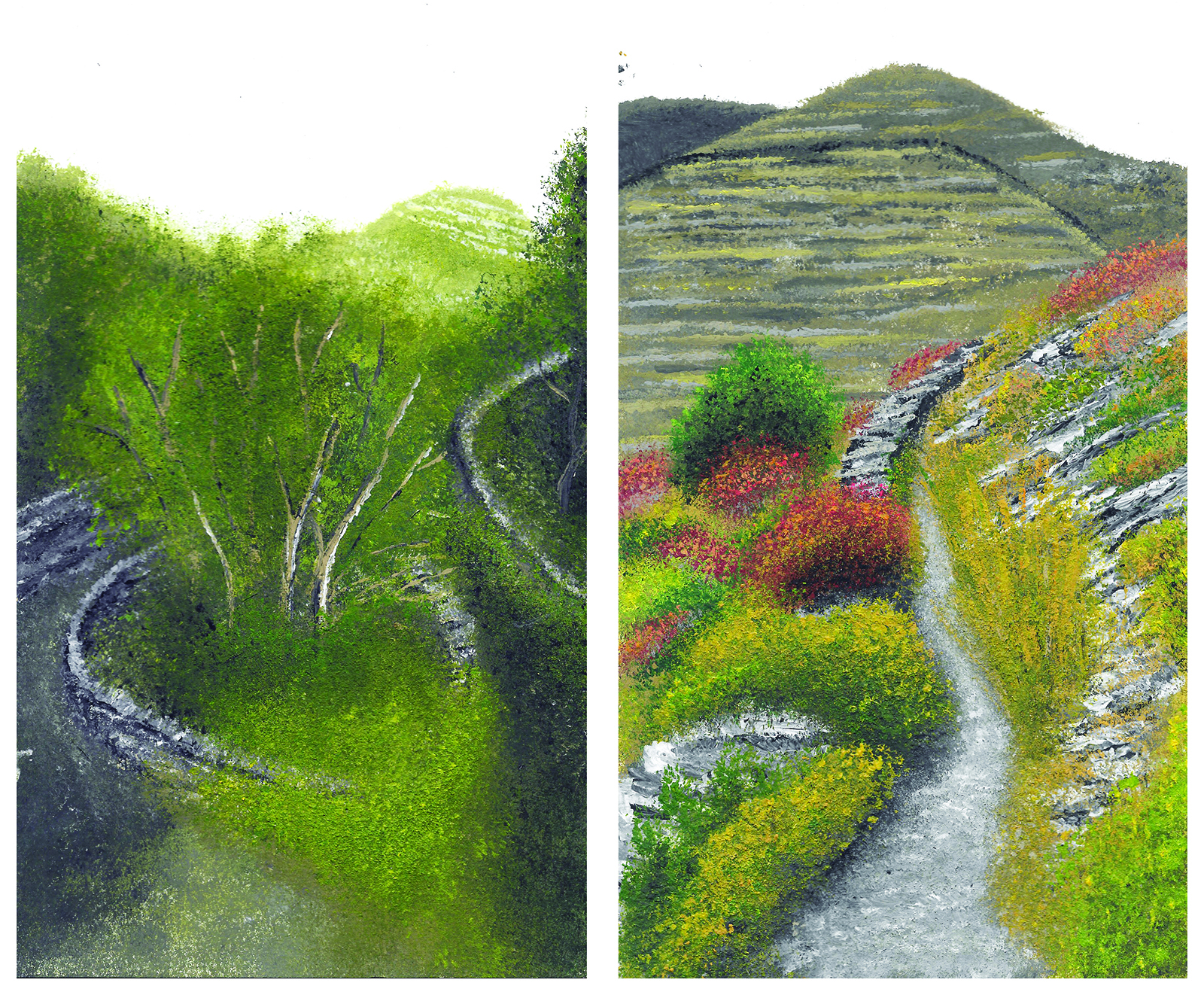 Defining the archetypical form of paths into the landscape