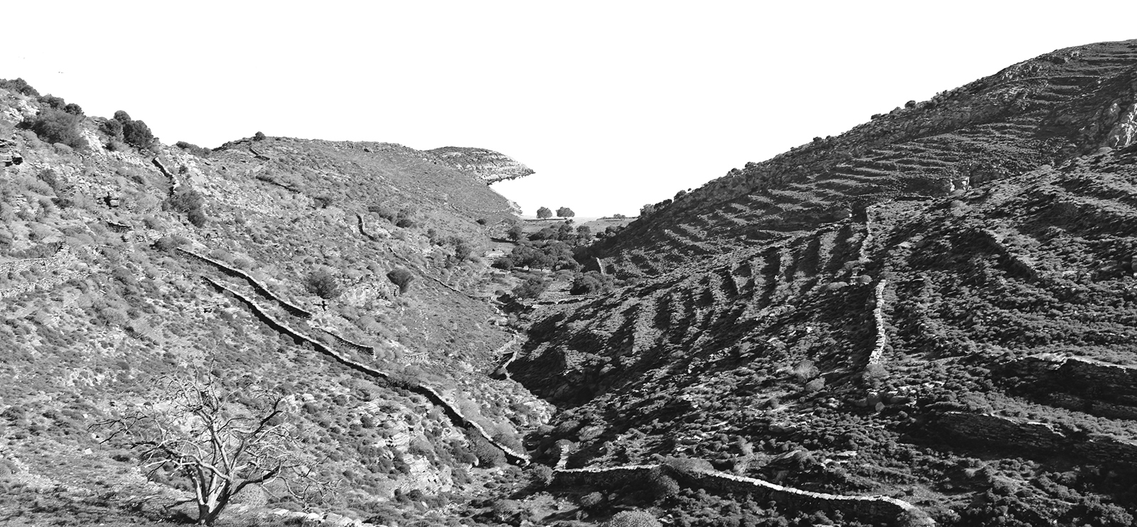 Defining the archetypical form of paths into the landscape