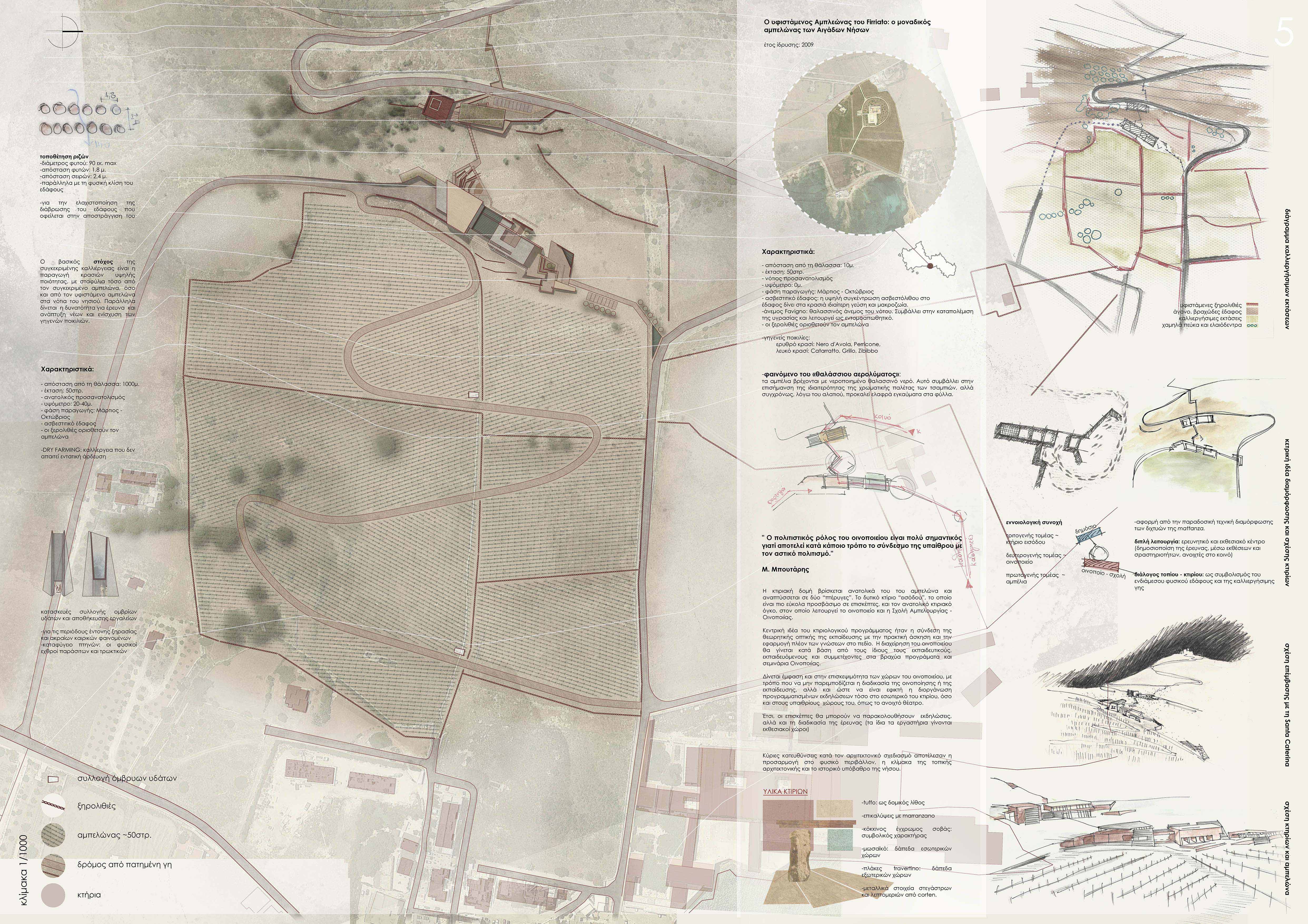 ISOLA DI FAVIGNANA
WINERY & SCHOOL OF VITICULTURE-ENOLOGY

