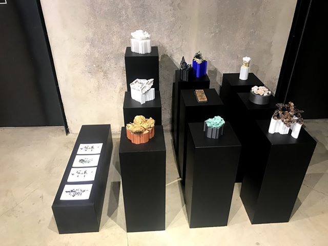PARADISIACAL SAMPLINGS