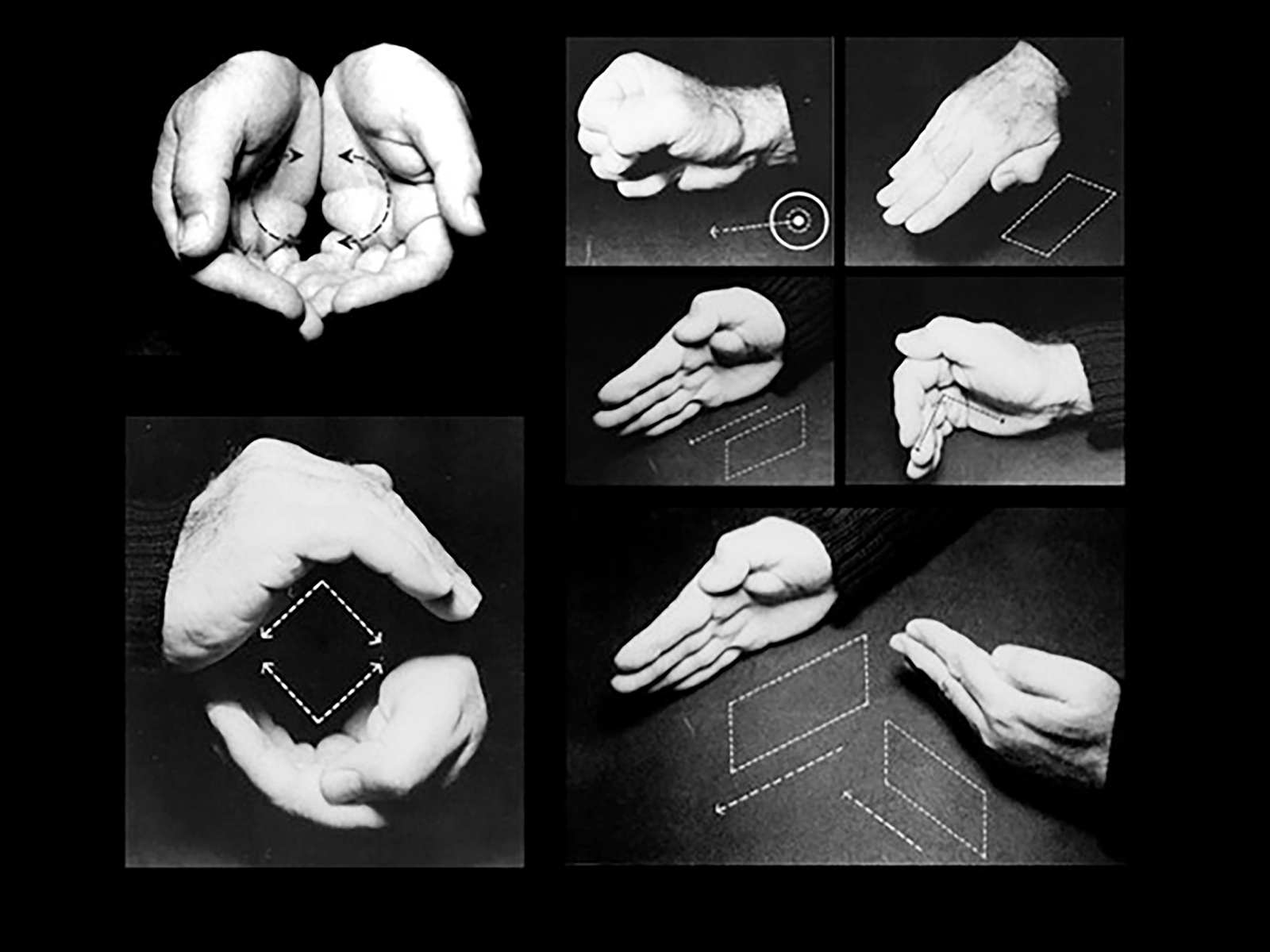 METAPHOR AND ANALOGY AS HERMENEUTIC TOOLS IN ARCHITECTURAL DESIGN