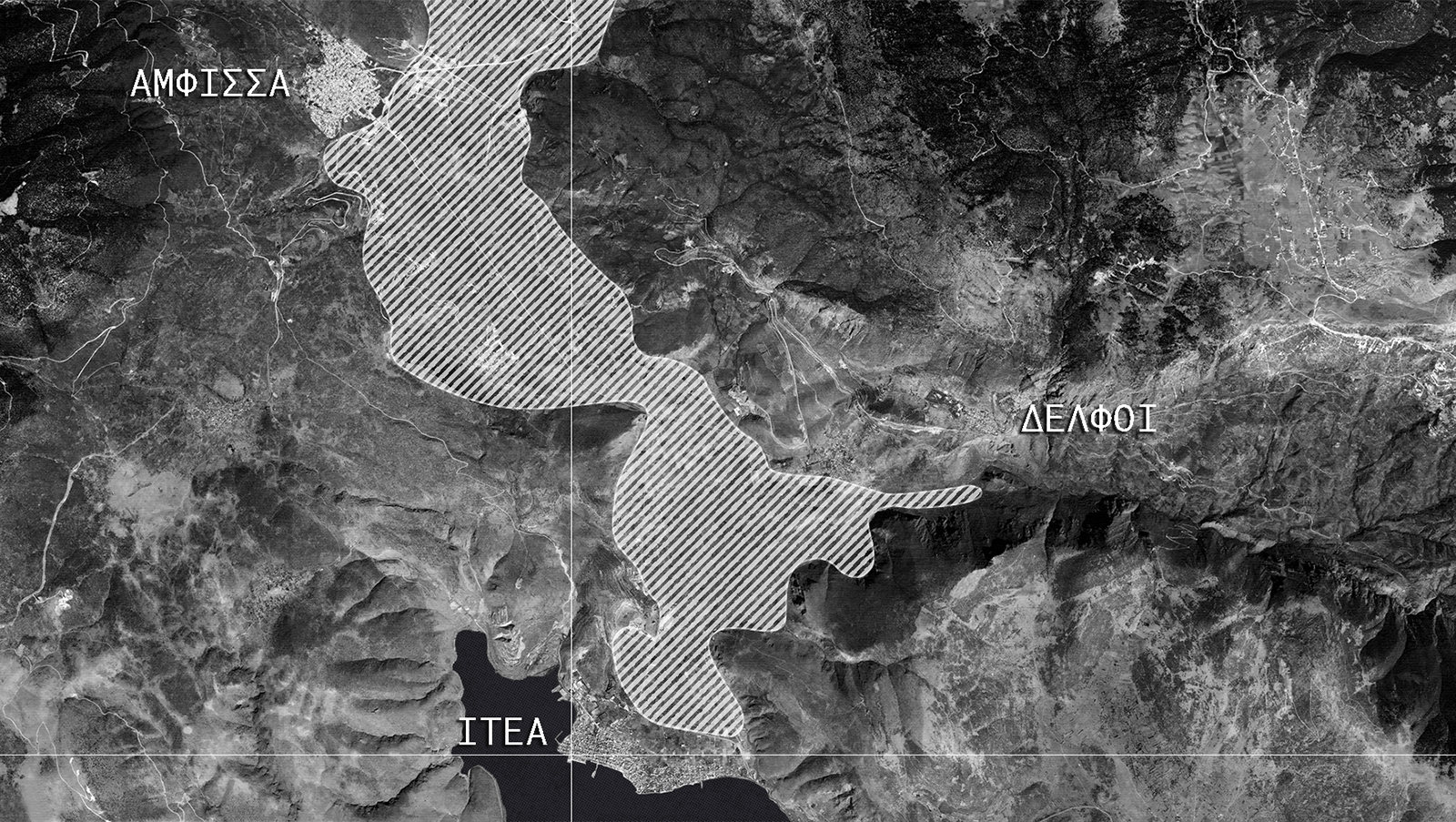From the Delphic Landscape: Cultural Center for Olive Cultivation