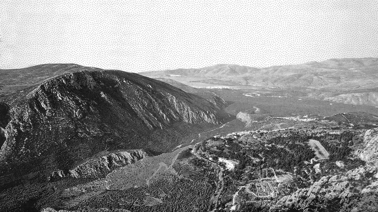 From the Delphic Landscape: Cultural Center for Olive Cultivation