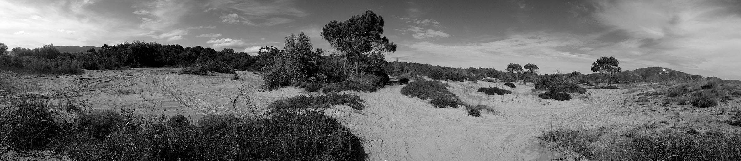Environmental center for information and recuparation of the sea turtle Caretta-Caretta  at Laganas Bay Zakynthos