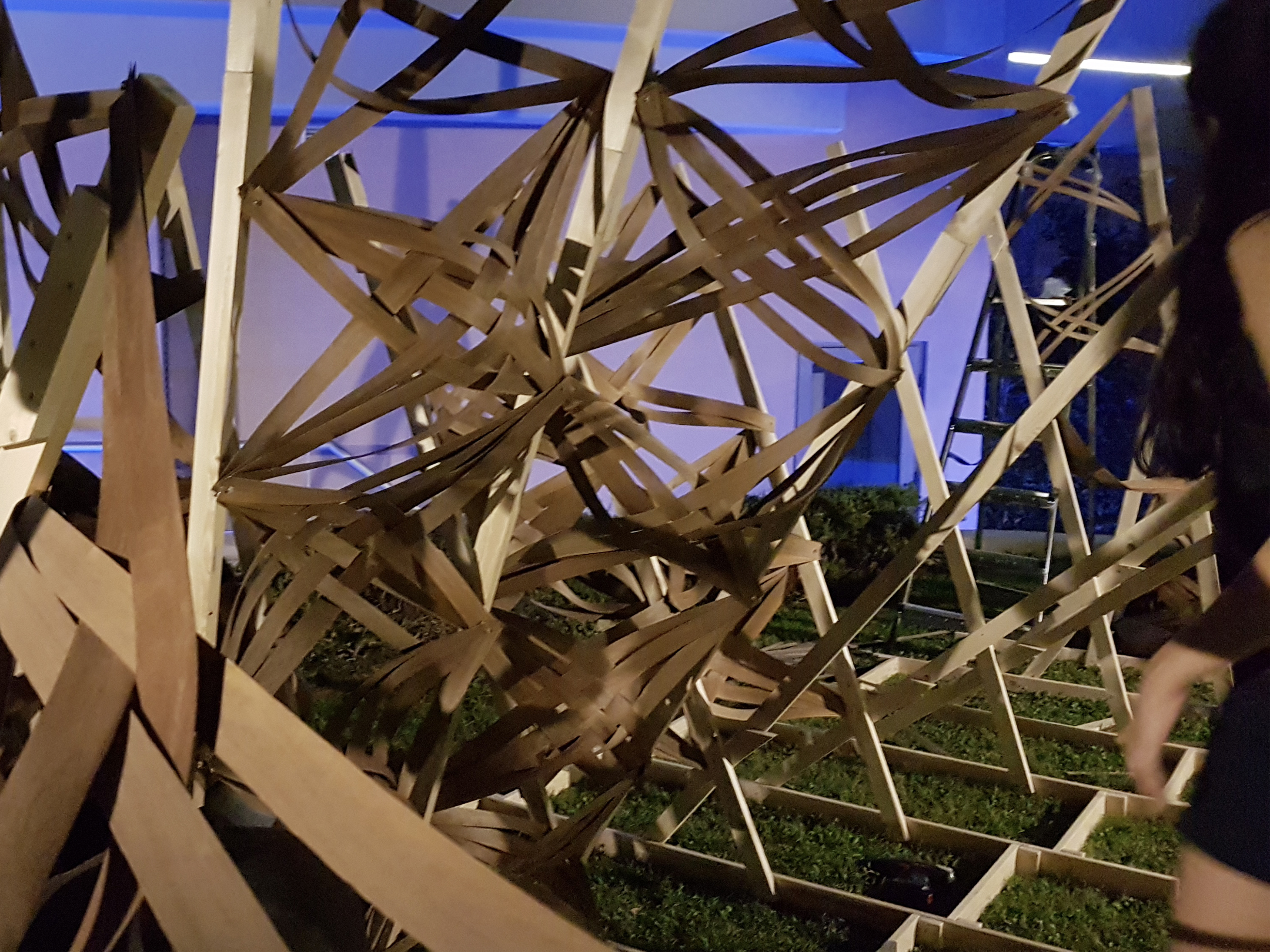 Architectural Association Athens Visiting School
Resonance :: Wander
