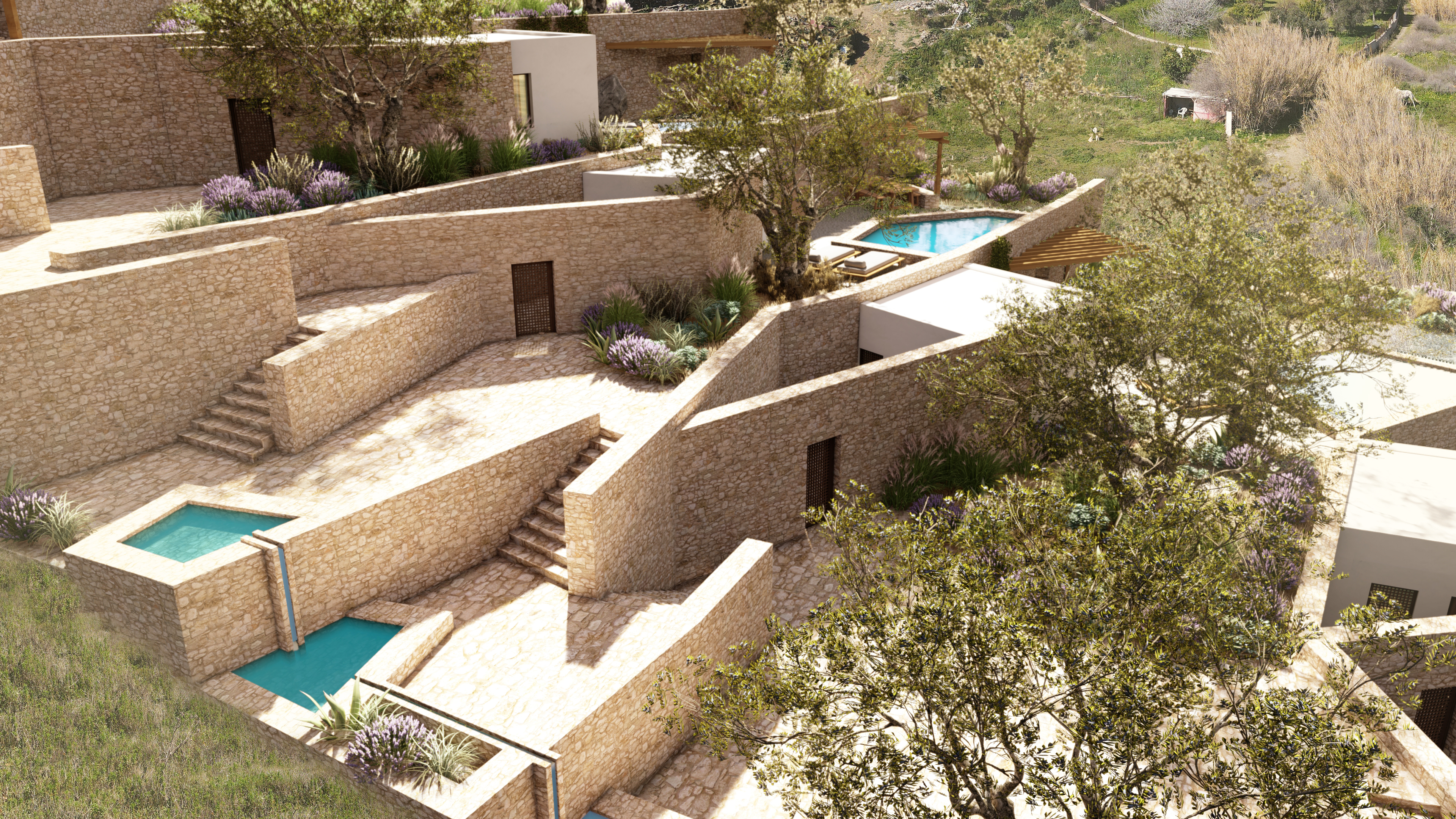 ALONI The Hive architects